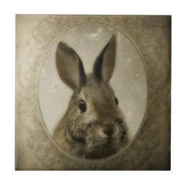 Bunny Kärlek Kakelplatta
