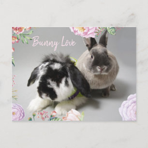 Bunny Kärlek Vykort