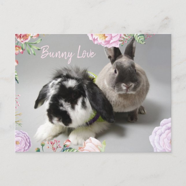 Bunny Kärlek Vykort (Framsida)