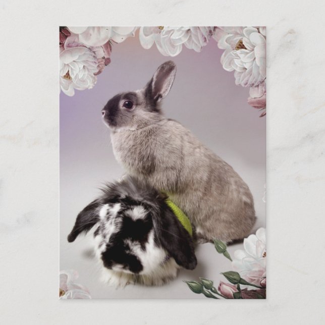 Bunny Kärlek Vykort (Framsida)