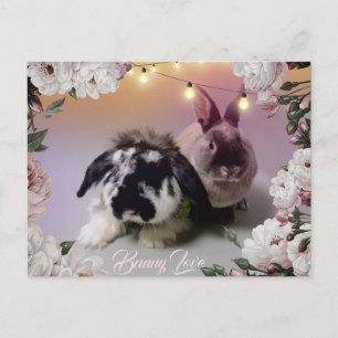 Bunny Kärlek Vykort
