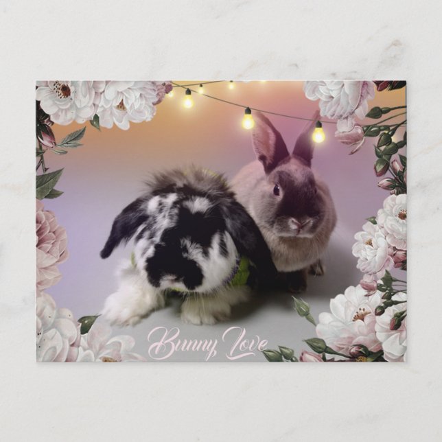 Bunny Kärlek Vykort (Framsida)