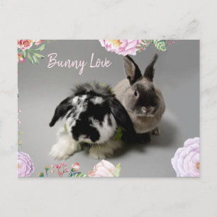 Bunny Kärlek Vykort