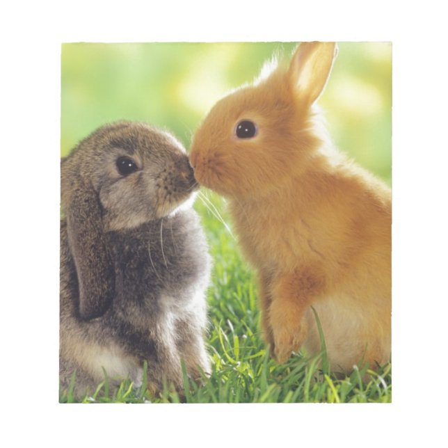 Bunny Kiss Anteckningsblock (Framsida)