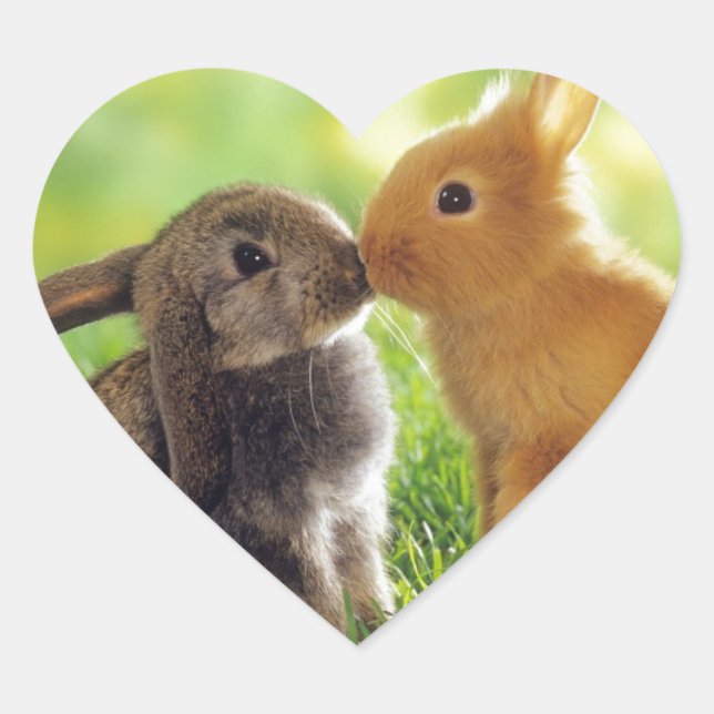 Bunny Kiss Hjärtformat Klistermärke (Framsida)