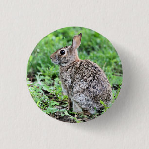 Bunny Knapp