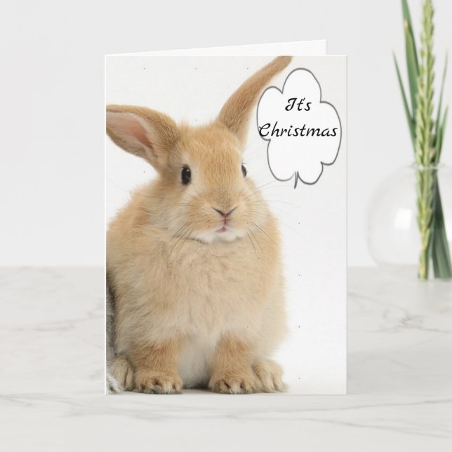 BUNNY KOMMER UT ATT SÄGA *GOD JUL* HELGKORT (Framsida)