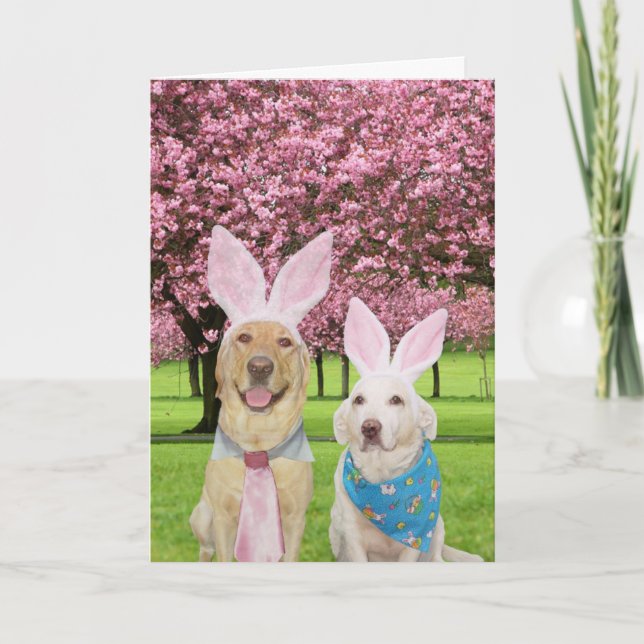Bunny Labs Helgkort (Framsida)