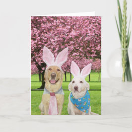 Bunny Labs Helgkort