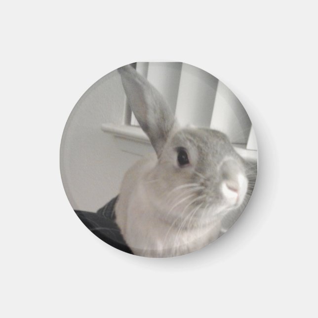 Bunny Magnet (Framsidan)