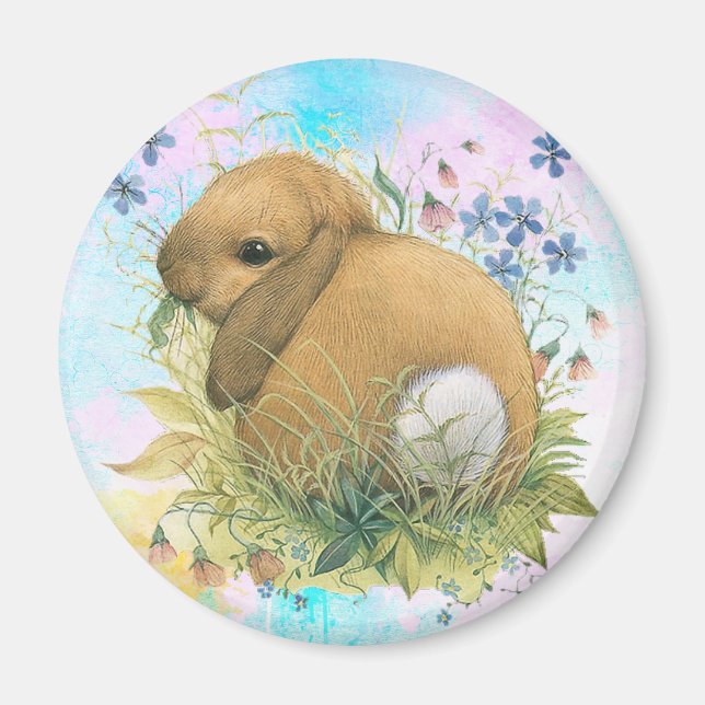 Bunny Magnet (Framsidan)