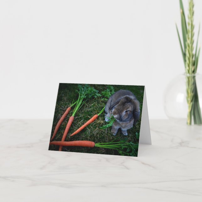 Bunny Munches Carrots / Notecard Kort (Framsida)
