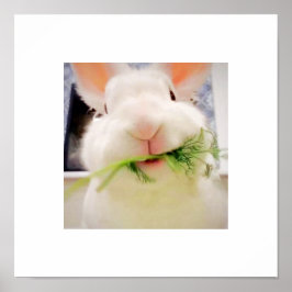 Bunny Munching Poster