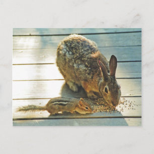 Bunny och Chipmunk Sharing Vykort