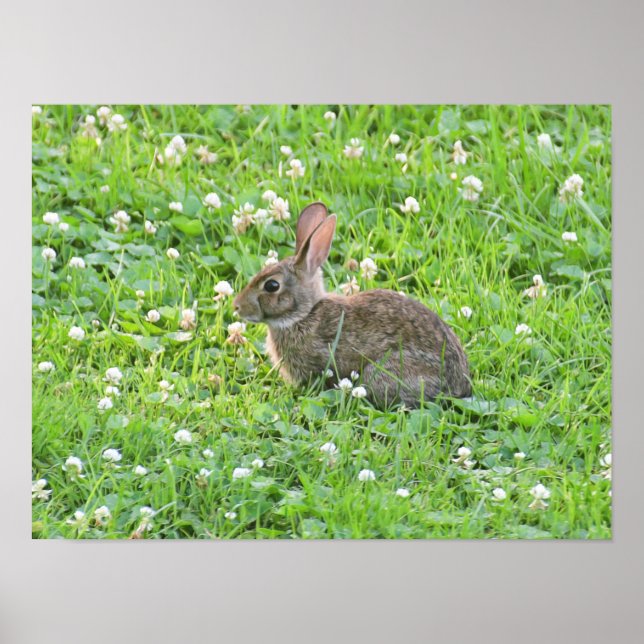 Bunny och Klöver****** Poster (Framsidan)