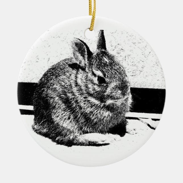 Bunny Ornament (Framsidan)