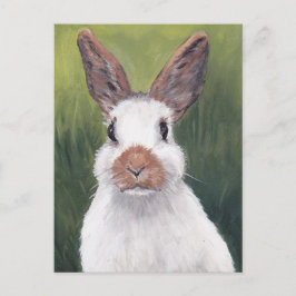 Bunny Öron Animal Art Postcard Vykort