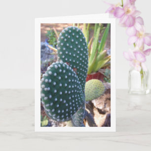 Bunny Öron Cactus Plant Kort