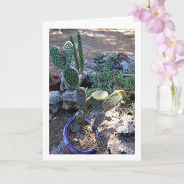 Bunny Öron Cactus Plant Kort (Orkide)