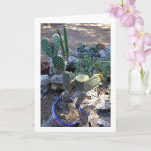 Bunny Öron Cactus Plant Kort