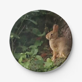 Bunny Papper Plate - för kanin och naturen älskare