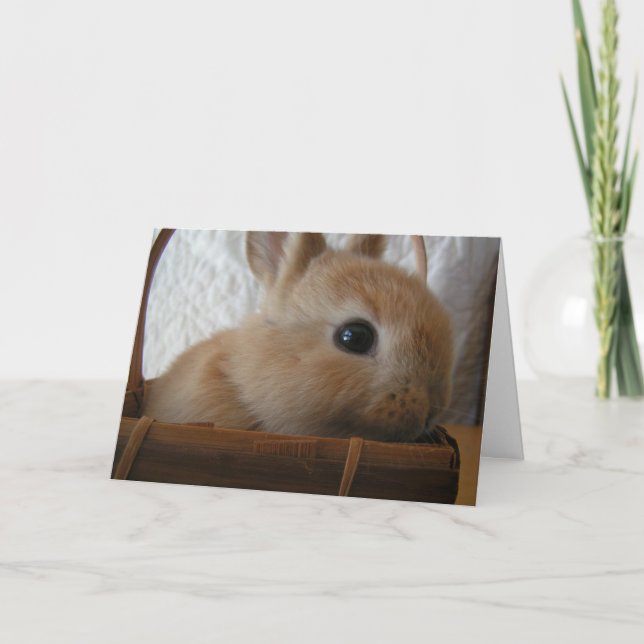 Bunny Påsk Card Helgkort (Framsida)