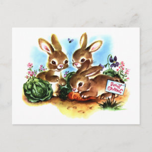 Bunny Patch Vykort