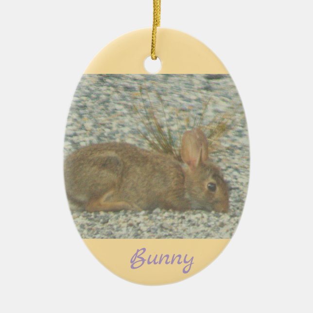 Bunny Photo Ornament (Framsidan)