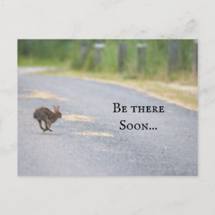 Bunny Photo Postcard Helg Vykort