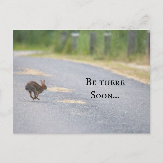 Bunny Photo Postcard Helg Vykort (Framsida)