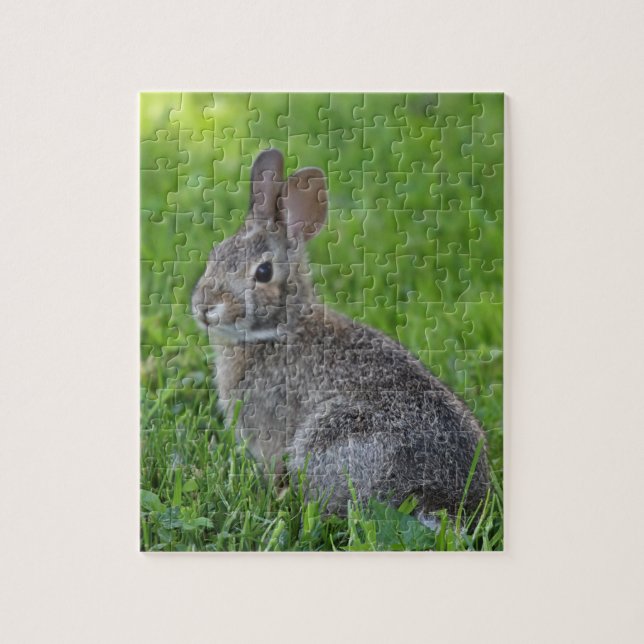 Bunny Pussel (Vertikal)