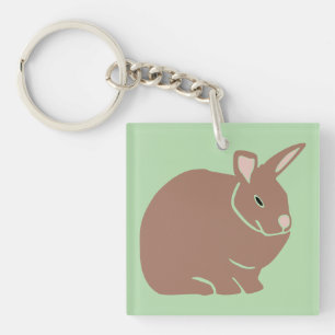Bunny Rabbit