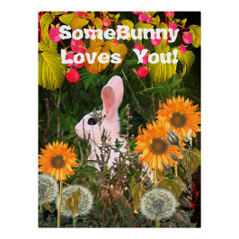 Bunny Rabbit Animal Wildlife Perfect Poster