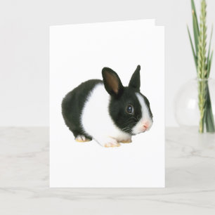 Bunny Rabbit Black & White Kort