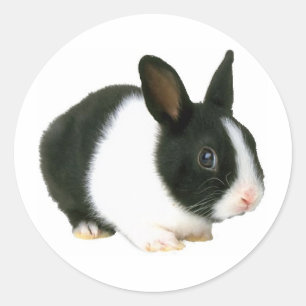 Bunny Rabbit Black & White Runt Klistermärke