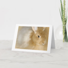 Bunny Rabbit (Caramel) Helgkort