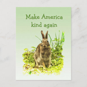 Bunny Rabbit Gör Amerika-Kind igen-vykort Vykort