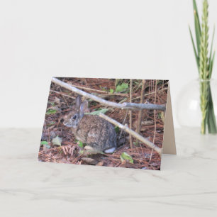Bunny Rabbit Greeting Card Helgkort