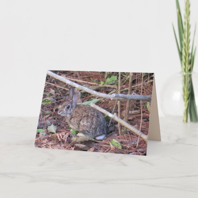 Bunny Rabbit Greeting Card Helgkort (Framsida)