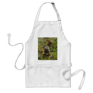Bunny Rabbit Hare Saker Förkläde