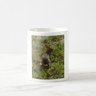 Bunny Rabbit Hare Saker Kaffemugg