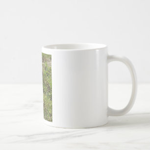 Bunny Rabbit Hare Saker Kaffemugg