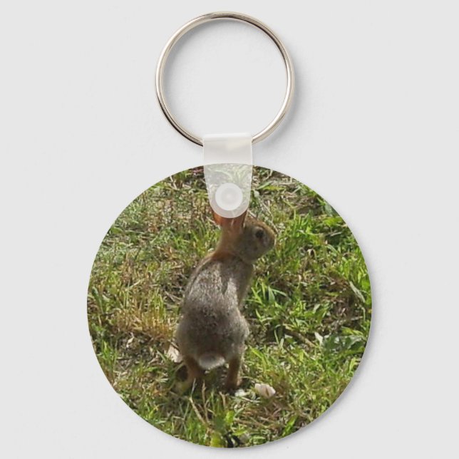 Bunny Rabbit Hare Saker Nyckelring (Framsida)