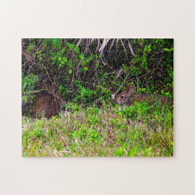 Bunny Rabbit Hare Wetlands Cute Nature Brown Pussel (Horisontell)