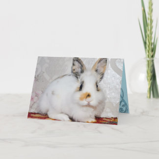 Bunny Rabbit Helgkort