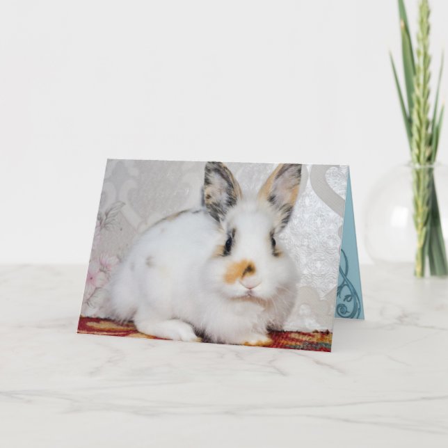 Bunny Rabbit Helgkort (Framsida)