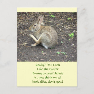 BUNNY RABBIT /HUMOROUS POSTCARD HELG VYKORT