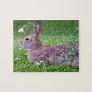 Bunny Rabbit i Grass Closeup Photo Pussel