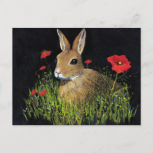 BUNNY RABBIT IN OIL PASTEL ON BLACK VYKORT