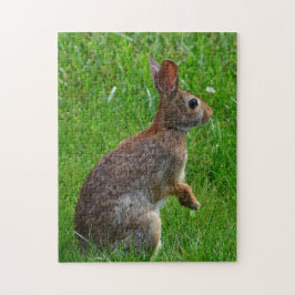 Bunny Rabbit Jigszle Puzzle Pussel